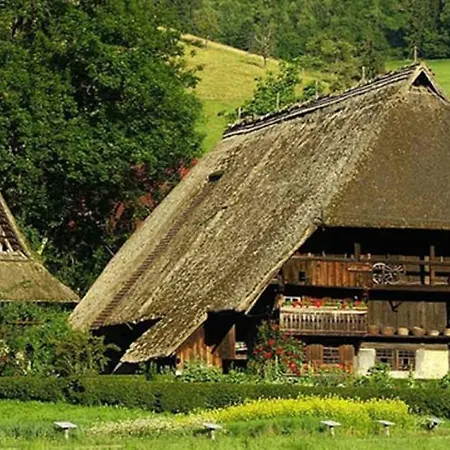 Holiday home Scheune Anni Gutach