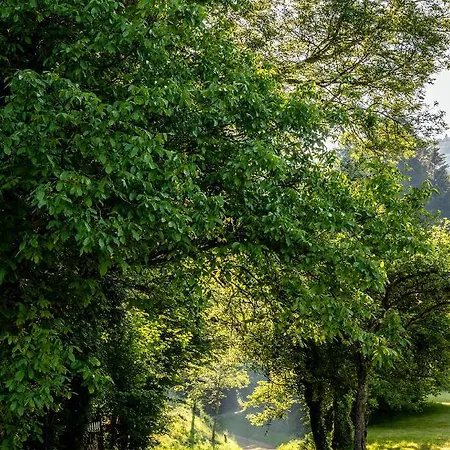 Σπίτι διακοπών Scheune Anni