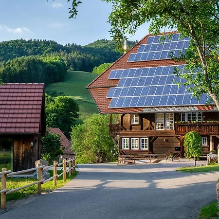 Scheune Anni 펜션 구타흐