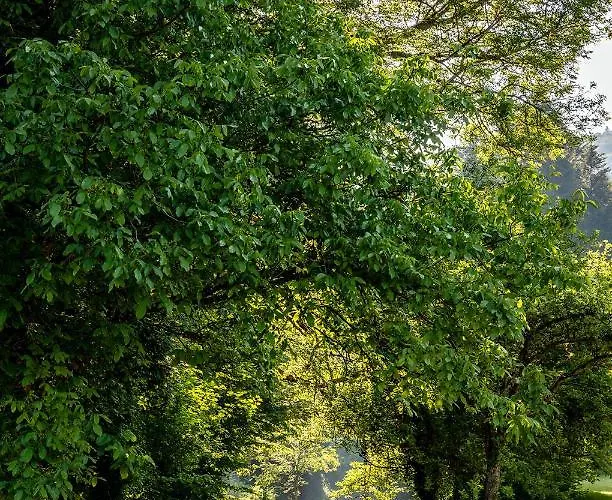 Semesterbostad Scheune Anni